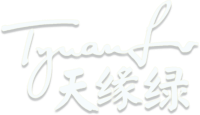 天缘绿